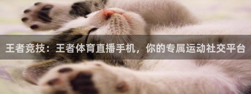 河豚直播nba免费观看下载