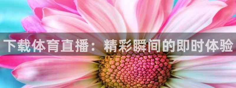 河豚直播体育app下载