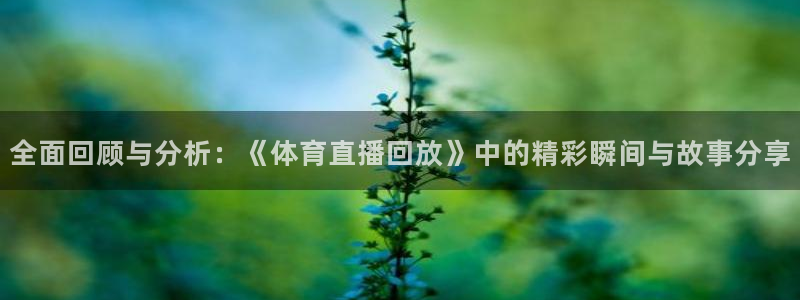 河豚直播