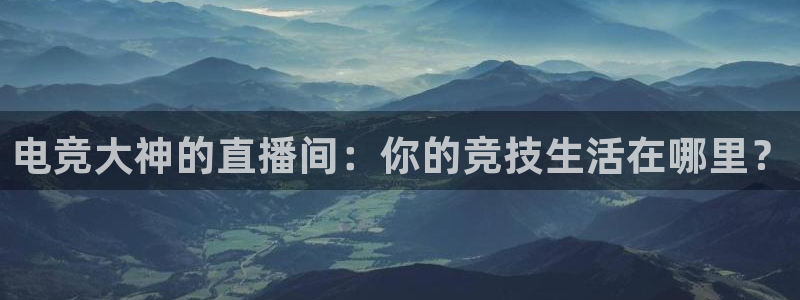 河豚直播nba免费观看下载