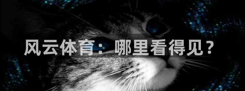 河豚直播nba免费观看