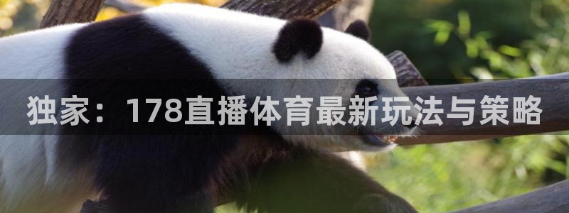 河豚直播nba免费观看下载