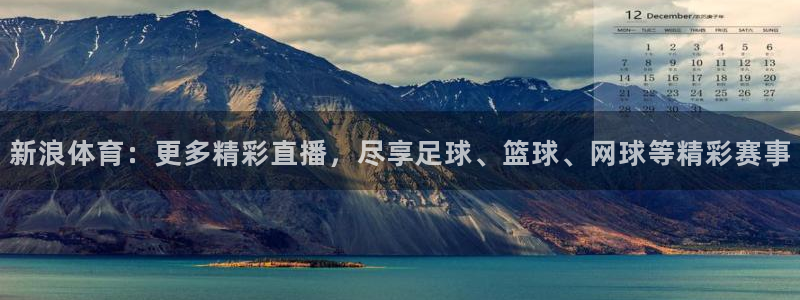 河豚直播nba免费观看下载