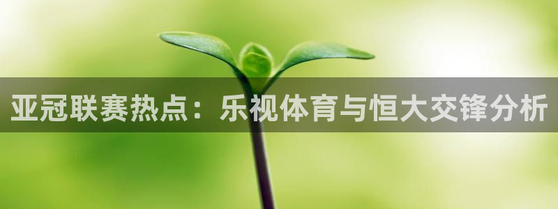 河豚直播nba