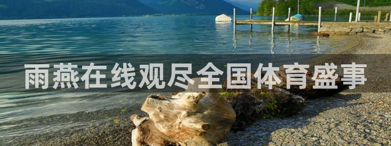河豚直播体育直播