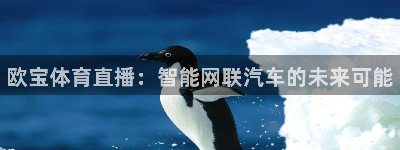 河豚直播体育app下载
