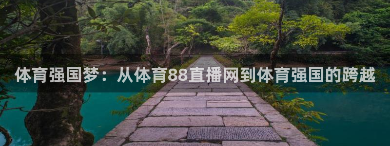 河豚直播体育直播