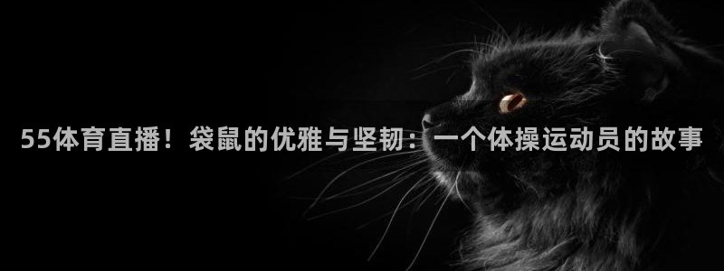 河豚直播体育直播