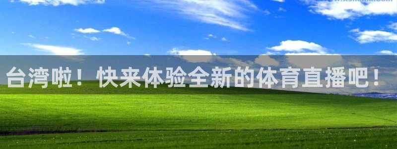 河豚直播nba